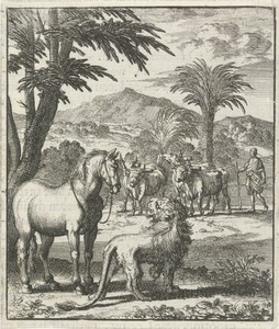 Jonge leeuw in gesprek met een paard