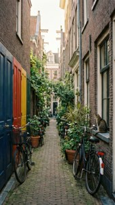 Jordaan Alley Morning