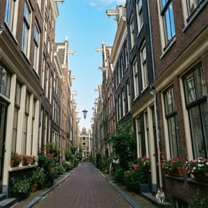Jordaan Street Scene