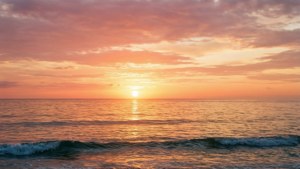 Jovial Sunrise Serenity