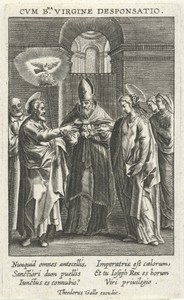 Jozefs roede in bloei