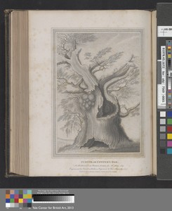 Judith, or Cowper's Oak