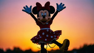 Jumping Joy Silhouette