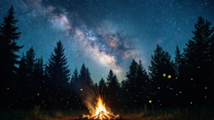 June Night Stargazing