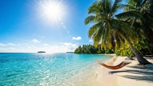 June Tropical Paradise