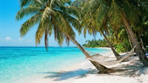 June Tropical Paradise