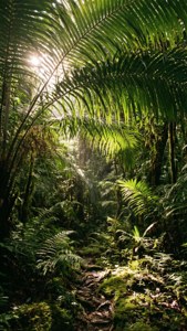 Jungle Light