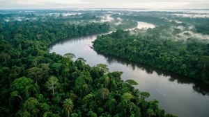 Jungle River Aerial