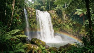 Jungle Waterfall