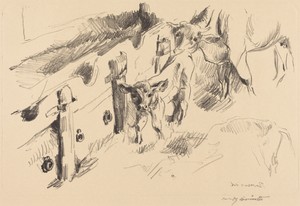 Kälber (Calves)