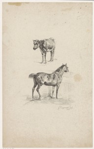 Kalf en paard in stal