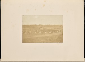 Kamiesch
