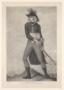Karel XIV Johan van Zweden op het slagveld