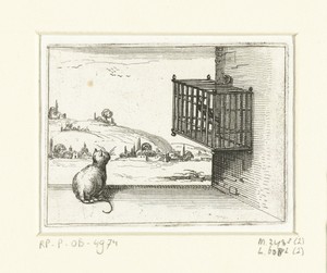 Kat en gekooide vogel