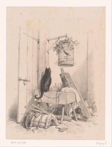 Kat en vogel in vogelkooi