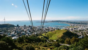 Kelburn Panorama