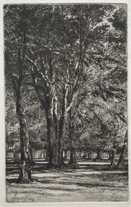 Kensington Gardens (The Large Plate)