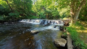 Kenwyn River Peace