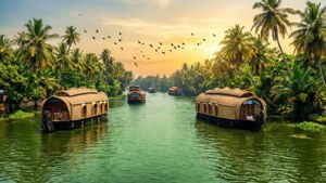 Kerala Backwaters Sunset
