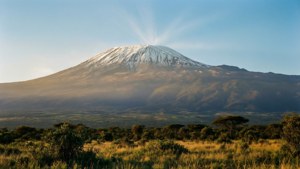 Kilimanjaro Dawn Majesty