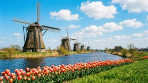 Kinderdijk Windmills
