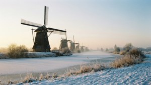 Kinderdijk Windmills in Winter