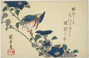 Kingfisher and bellflowers