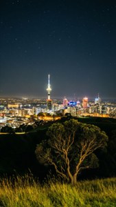 Kings Park Night Lights
