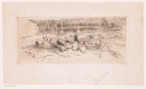 Kippen in het gras langs een weg