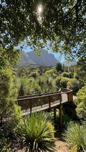 Kirstenbosch Canopy Walk