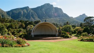 Kirstenbosch Garden Beauty