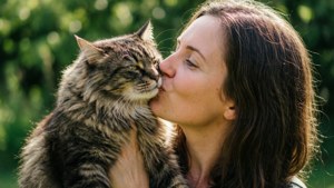 Kiss for Kitty
