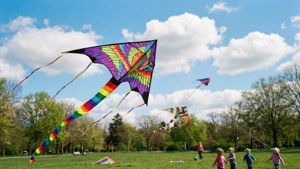 Kite Day Dreams
