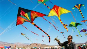 Kite Flying Competition Sky