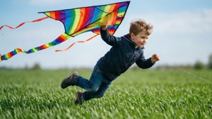Kite Flying Fun