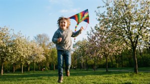Kite Flying in March
