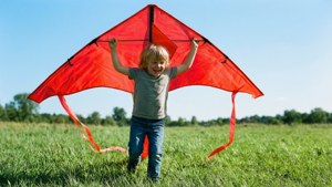 Kite Flying Joy
