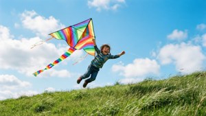 Kite of Joy
