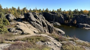 Kivi Park Rocks