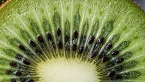 Kiwi Crosscut