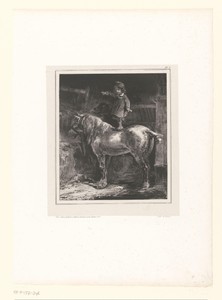 Klein kind staand op de rug van een paard