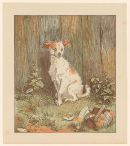 Kleine hond zittend bij een schutting