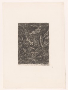 Kleine waterval in een dicht bos