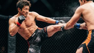 Knee Strike