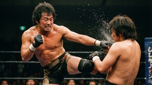 Knee Strike Impact