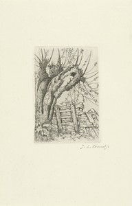 Knotwilgen met hekje