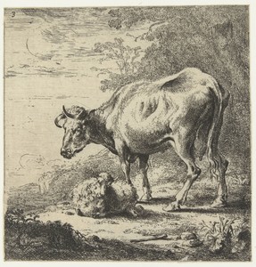 Koe en schaap
