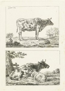 Koe en schaap