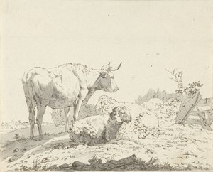 Koe en schapen in een weide