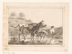 Koe en twee schapen bij een doorwaadbare plaats